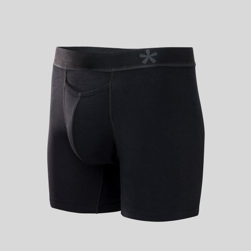 The Boxer Brief